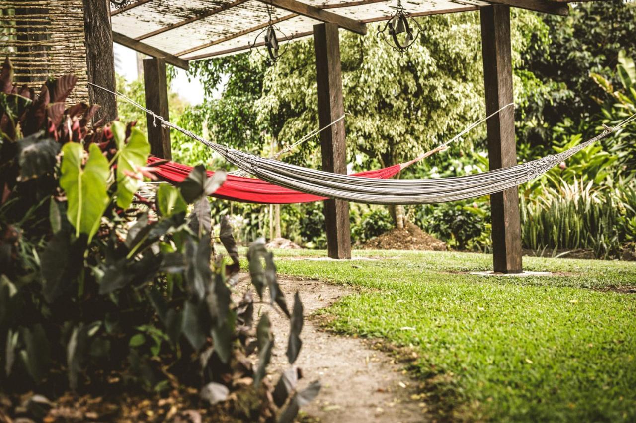 Hotel Delirio Campestre モンテネグロ エクステリア 写真