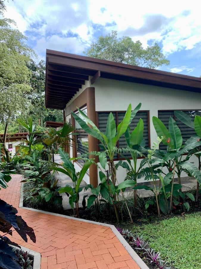 Hotel Delirio Campestre モンテネグロ エクステリア 写真